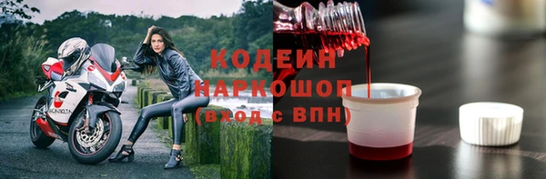 индика Балахна
