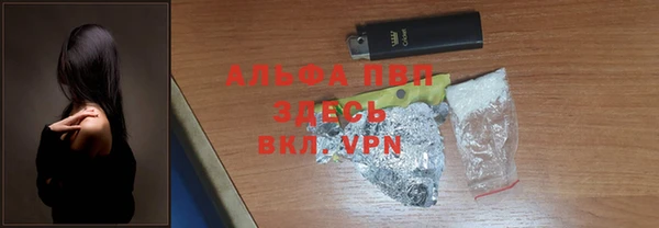индика Балахна