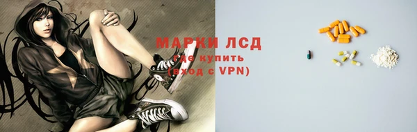 индика Балахна