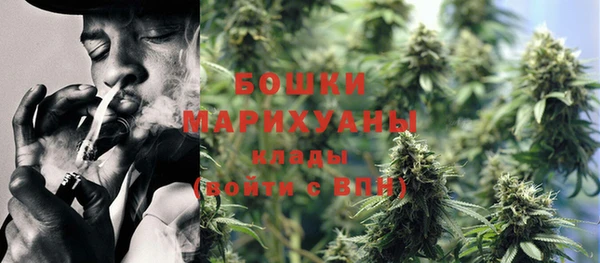 индика Балахна