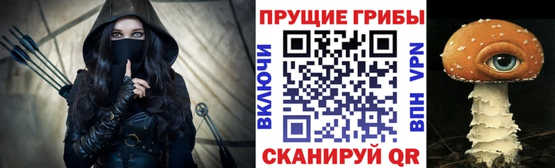 Псилоцибиновые грибы ЛСД где продают mega зеркало Кунгур
